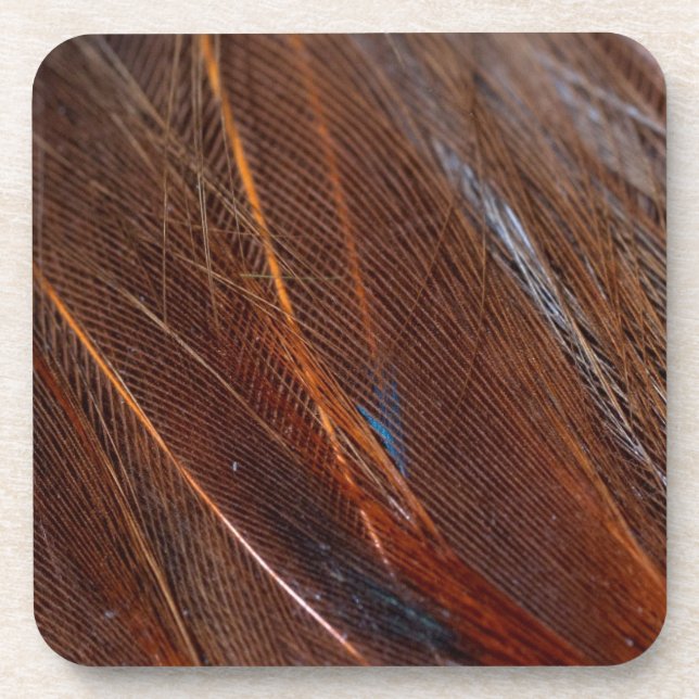 Posavasos Pluma de pavo real colorida en detalle (Frente)