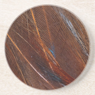 Posavasos Pluma de pavo real colorida en detalle