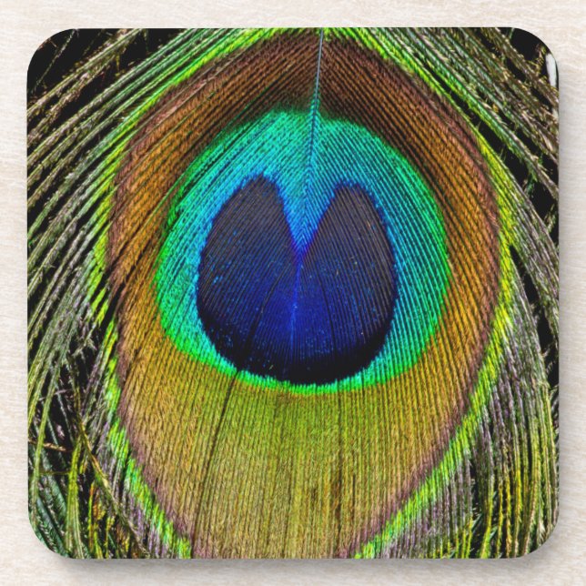 Posavasos Plumas de la cola del pavo real macho (Frente)