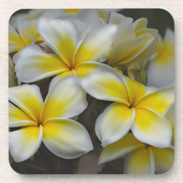 Posavasos Plumeria amarilla blanca