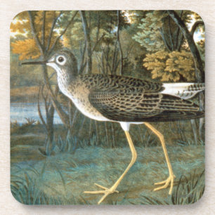Posavasos Poco Yellowlegs