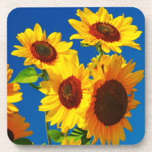 Posavasos Poder del girasol