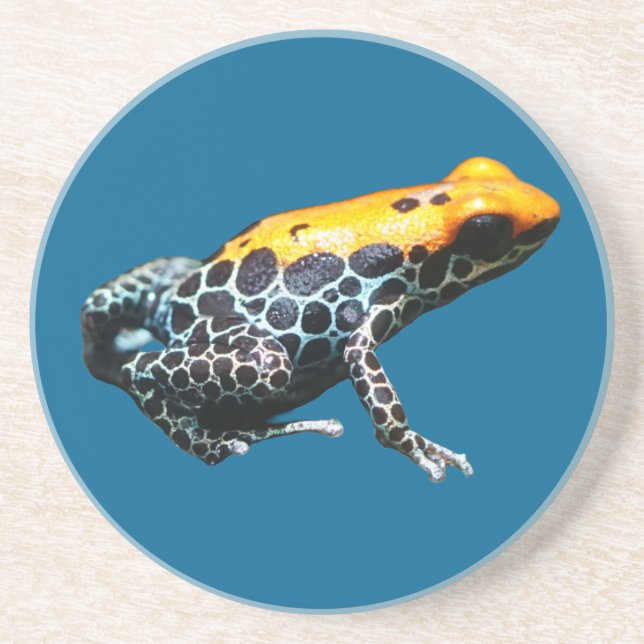 Posavasos Poison Dart Frog (Frente)