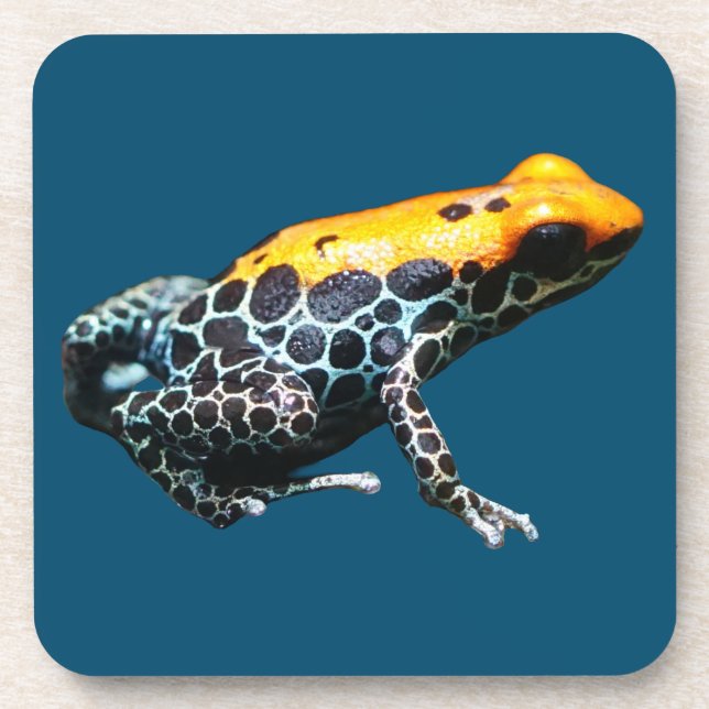 Posavasos Poison Dart Frog (Frente)
