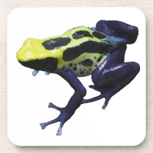 Posavasos Poison Dart Frog