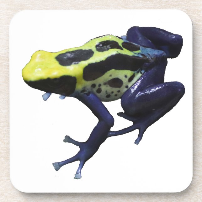 Posavasos Poison Dart Frog (Frente)