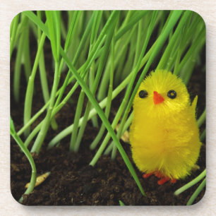 Posavasos pollito de pasto