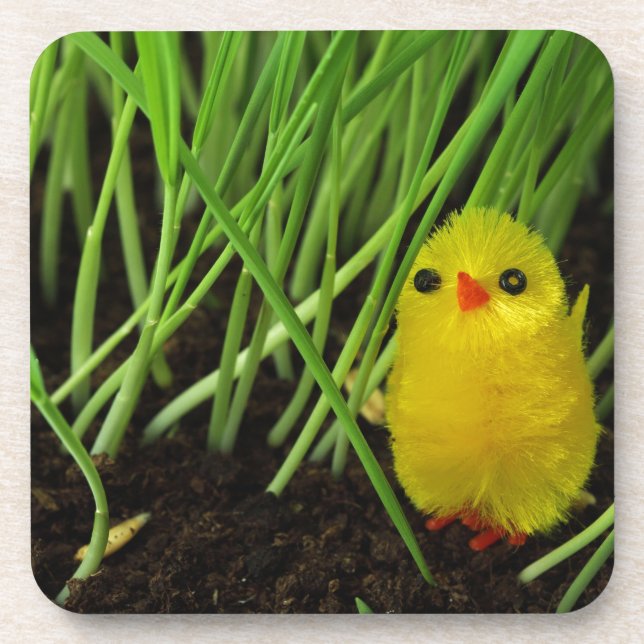 Posavasos pollito de pasto (Frente)