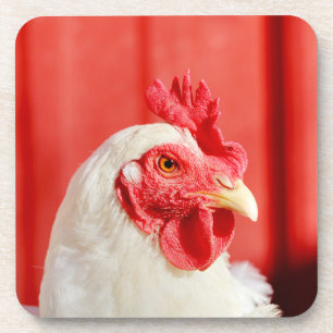 Posavasos Pollo de granja