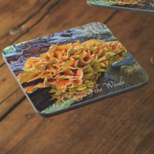 Posavasos Pollo de la foto de los champiñones de Woods