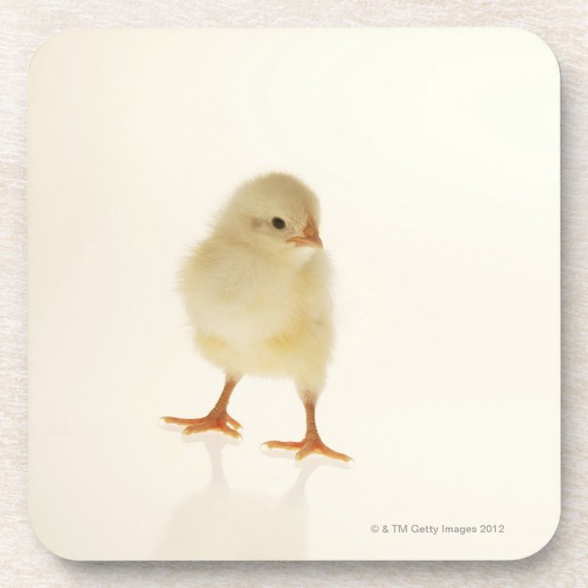 Posavasos Pollo del bebé (Frente)