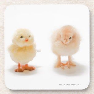 Posavasos Pollo del bebé y pollo mecánico falso