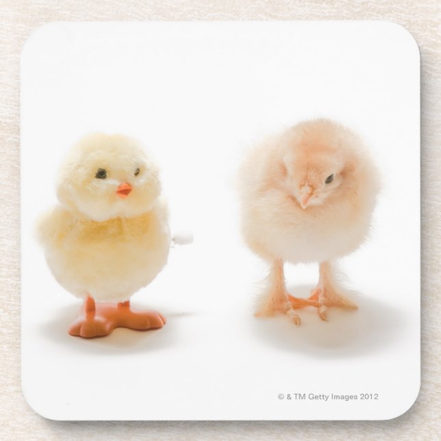 Posavasos Pollo del bebé y pollo mecánico falso (Frente)