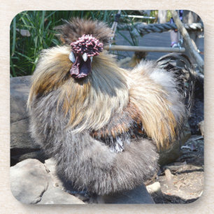 Posavasos Pollo Feo, Astras