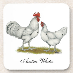 Posavasos Pollos blancos de Australia