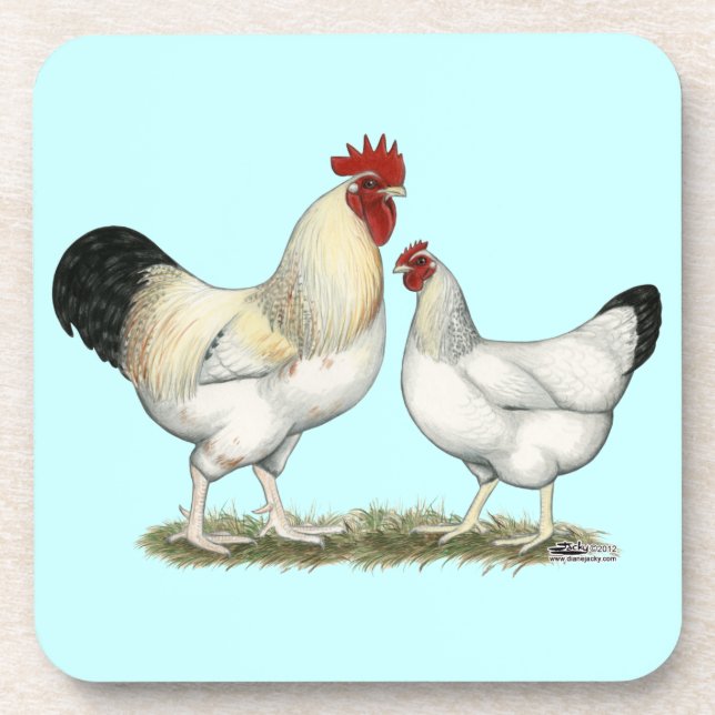 Posavasos Pollos del río Indio (Frente)