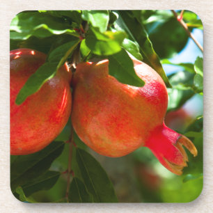 Posavasos Pomegranato