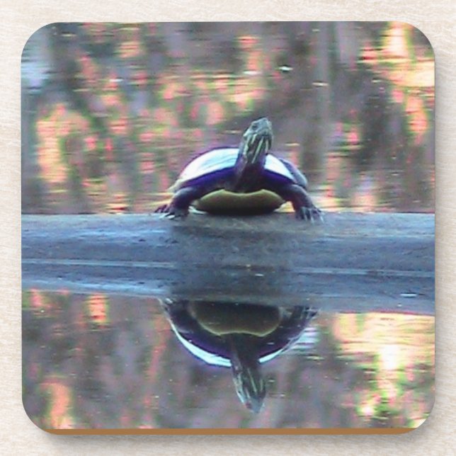 Posavasos Pond Turtle Reflection Coaster (Frente)