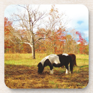 Posavasos Pony/caballo en miniatura negro y blanco