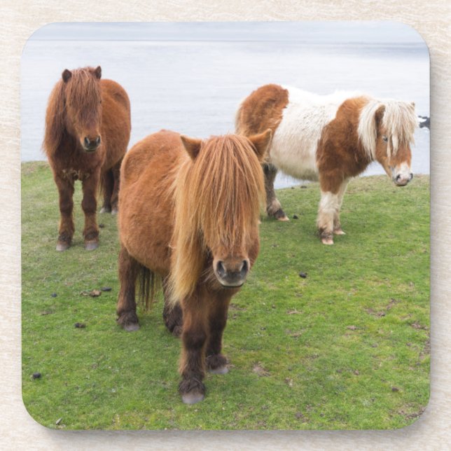 Posavasos Pony de Shetland sobre la pastelería cerca de alto (Frente)