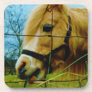 Posavasos Pony en miniatura rubia / cielo azul de caballo