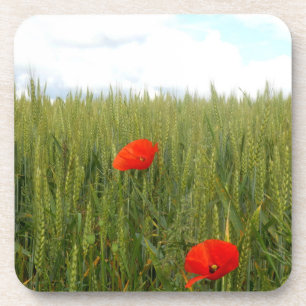 Posavasos Poppies en una montaña de plástico dura de campo d