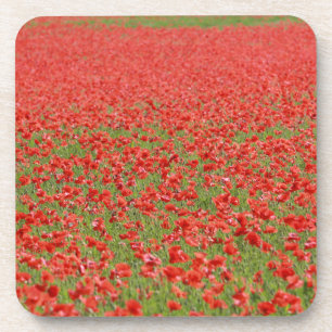 Posavasos ¡Poppies - miles!