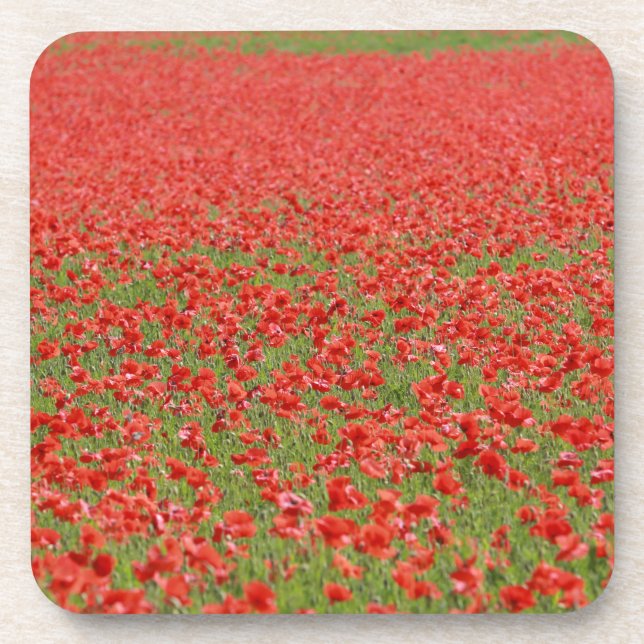 Posavasos ¡Poppies - miles! (Frente)