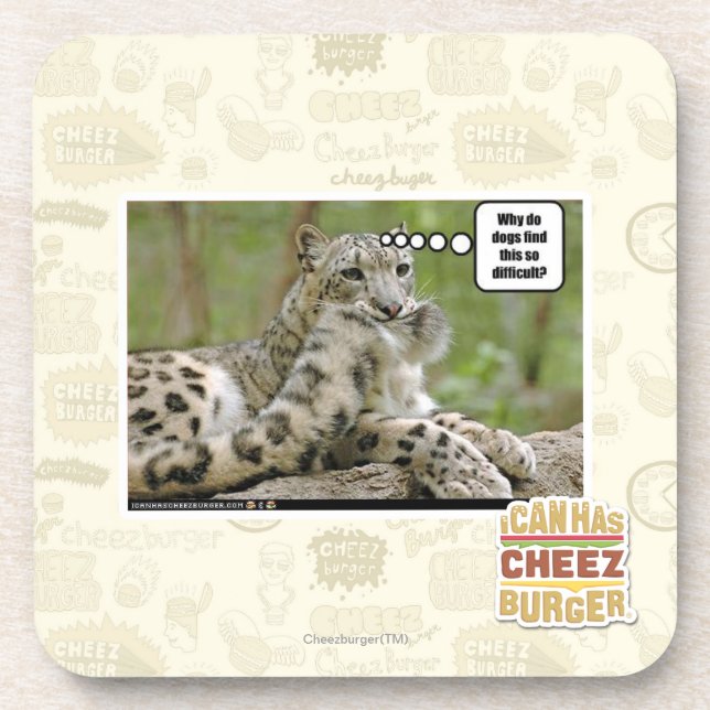 Posavasos ¿Por qué los perros encuentran esto tan difícil? (Frente)