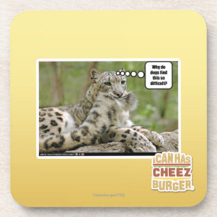 Posavasos ¿Por qué los perros encuentran esto tan difícil?