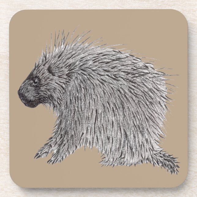 Posavasos Porcupina (Frente)