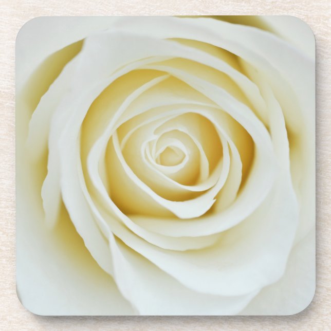 Posavasos Portavasos de flor de rosa blanca (Frente)