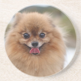 Posavasos Portrait Perro Pomeraniano