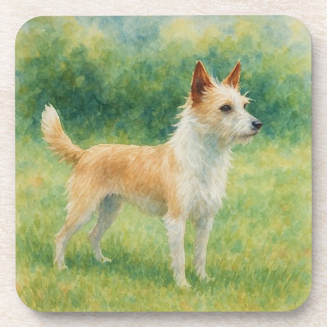 Posavasos Portuguese Podengo (Frente)