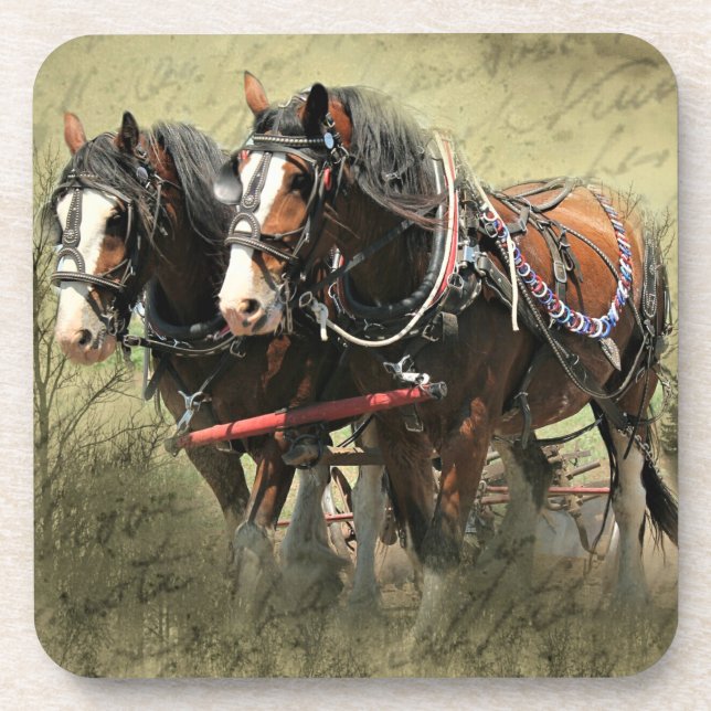 Posavasos Postal de Clydesdale Weathered Vintage (Frente)