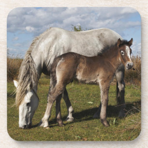 Posavasos Potro de caballo de Camargue con madre