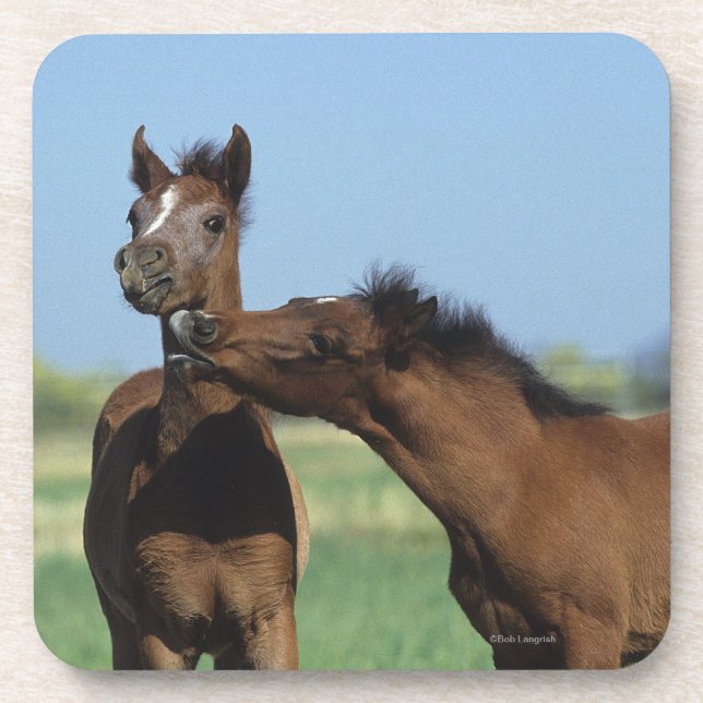 Posavasos Potros que juegan 2 (Frente)