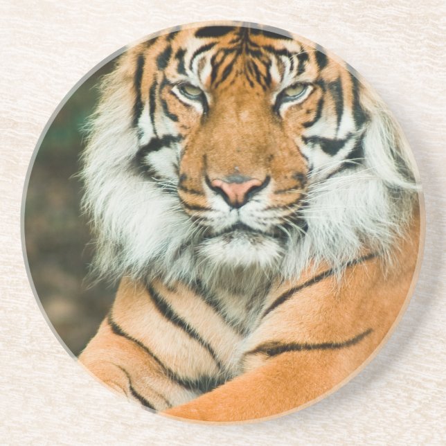 Posavasos Práctico de costa anaranjado del tigre (Frente)