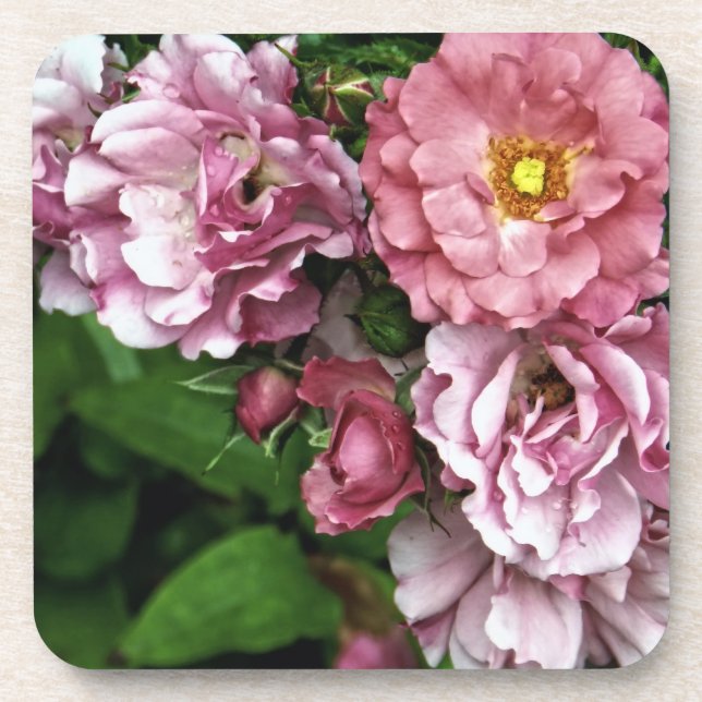 Posavasos Práctico de costa color de rosa antiguo (Frente)