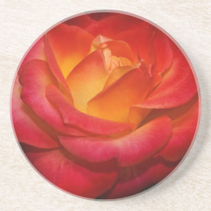 Posavasos Práctico de costa color de rosa llameante