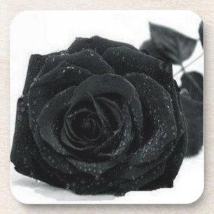 Posavasos Práctico de costa color de rosa negro
