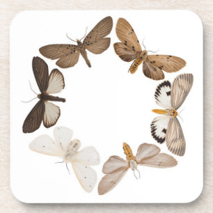 Posavasos Práctico de costa con el anillo de la mariposa