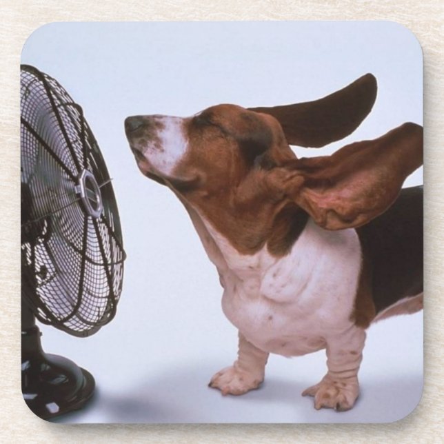 Posavasos Práctico de costa de Basset Hound (Frente)