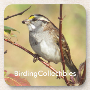Posavasos Práctico de costa de BirdingCollectibles