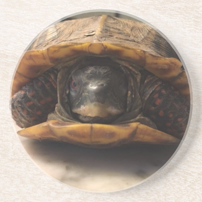 Posavasos práctico de costa de Duncan (Frente)