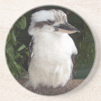 Posavasos Práctico de costa de Kookaburra