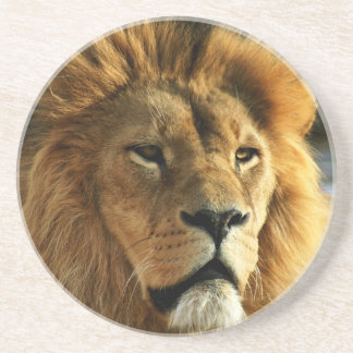 Posavasos Práctico de costa de la bebida de la foto del león
