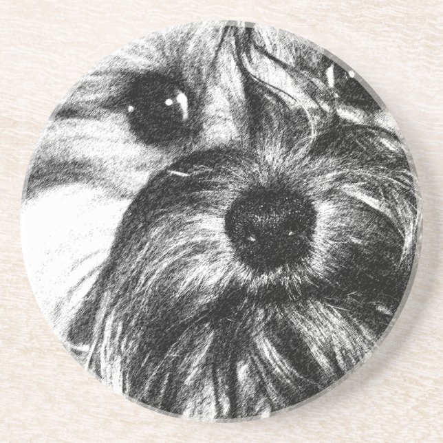 Posavasos Práctico de costa de la bebida de la piedra (Frente)