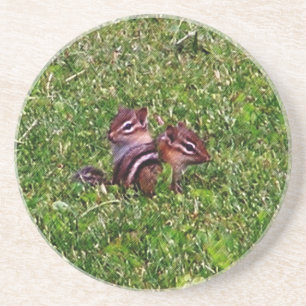 Posavasos Práctico de costa de la naturaleza animal de los