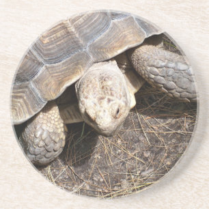 Posavasos Práctico de costa de la tortuga